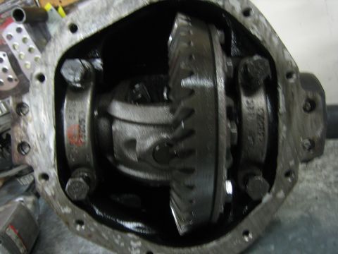 1996 Ford Bronco - The internal components of a vehicle's differential are shown, including the ring and pinion gears.