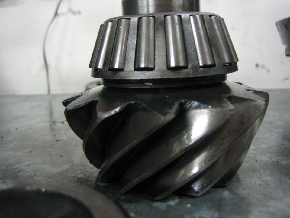 Differential gear and bearing assembly
