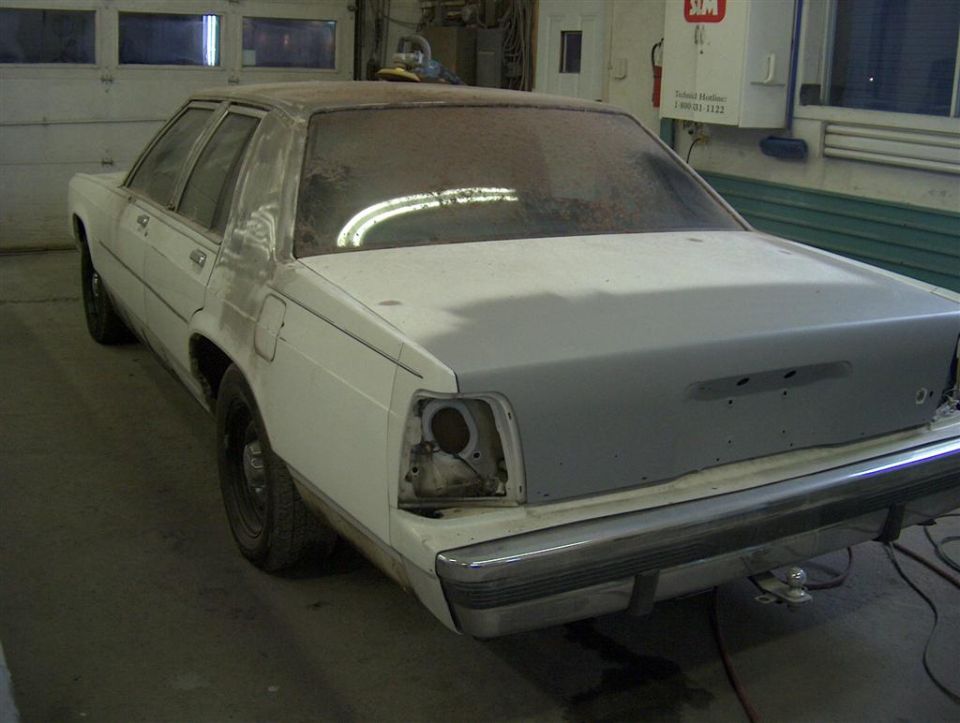 Primer on trunk