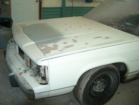 1990 Ford Crown Victoria LTD - Hood