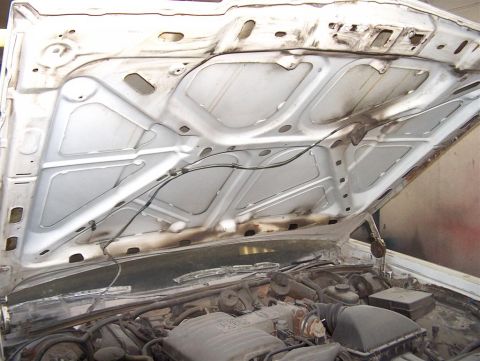 1990 Ford LTD Crown Victoria - Hood