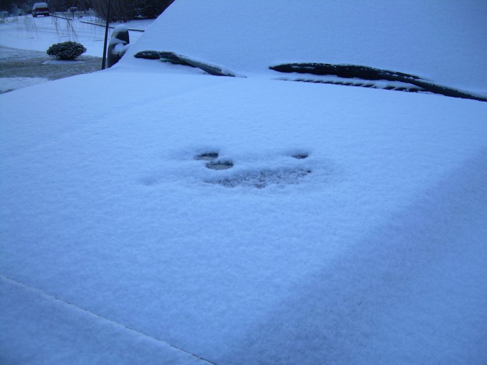 Snow-covered vehicle windshield and hood with wipers
