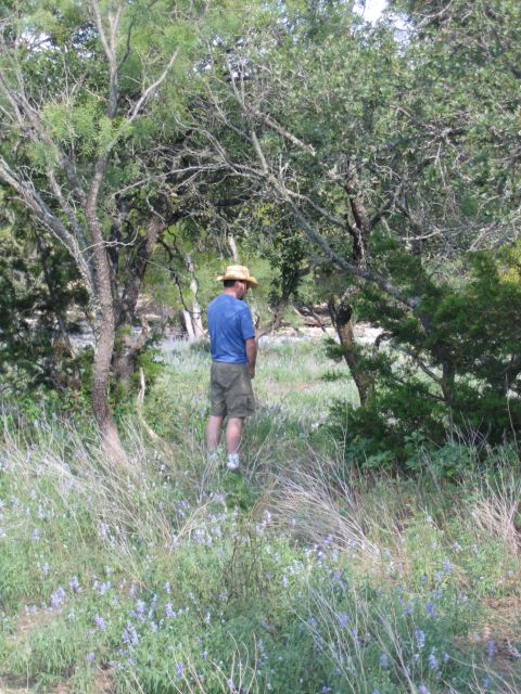 1996 Ford Bronco - Man in a hat and shorts stands in a field with trees and purple wildflowers.