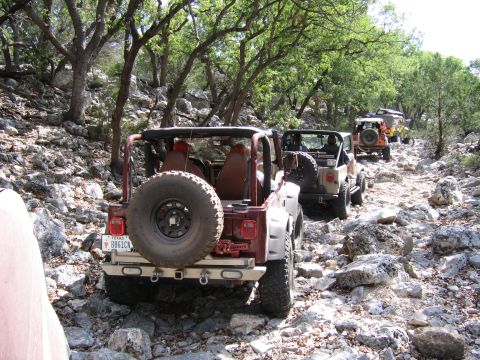 1996 Ford Bronco - A line of Jeeps navigates a challenging, rocky trail surrounded by trees and undergrowth.