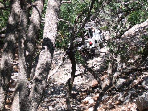 1996 Ford Bronco - Jeep Wrangler off-roading through a dense, rocky forest environment.