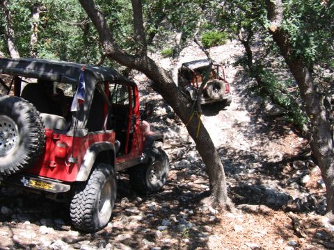 1996 Ford Bronco - Two red Jeep Wranglers navigate a steep, wooded trail with rocky obstacles.
