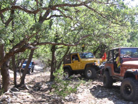 1996 Ford Bronco - Multiple Jeeps navigate a wooded, off-road path under dappled sunlight.