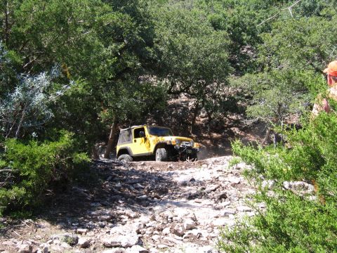 1996 Ford Bronco - A yellow Jeep Wrangler navigates a challenging off-road path surrounded by dense trees and rocky terrain.