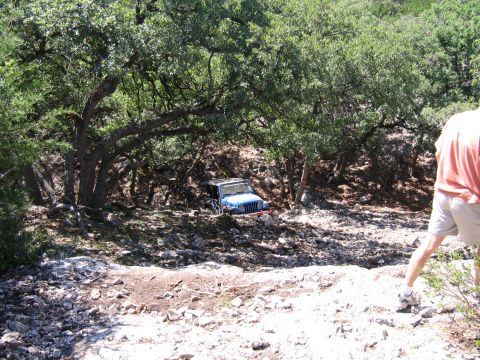 1996 Ford Bronco - A blue Jeep Wrangler is partially hidden under dense foliage on a rocky, off-road trail.