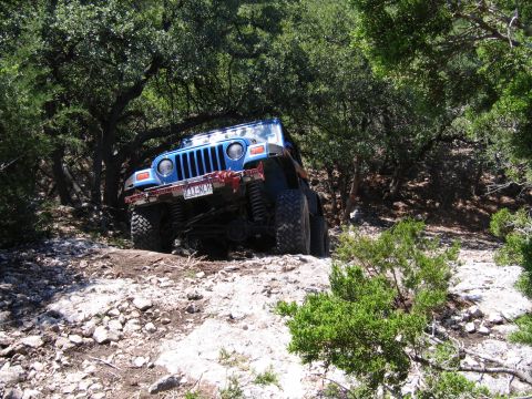 1996 Ford Bronco - A blue Jeep Wrangler navigates a challenging off-road path through a wooded area.
