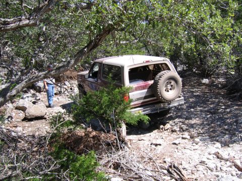 1996 Ford Bronco - This 1996 Ford Bronco navigates a rough, wooded trail.