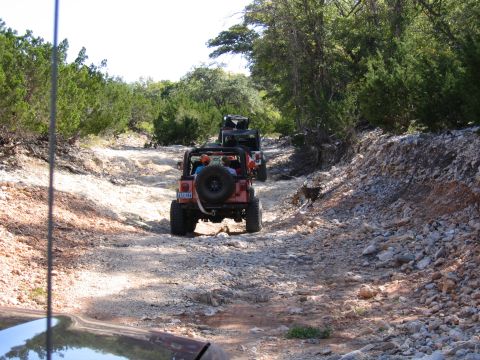 1996 Ford Bronco - A convoy of Jeeps navigates a rough, rocky trail through a wooded area.