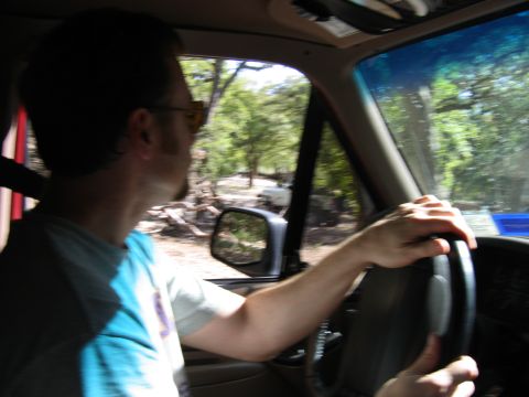 1996 Ford Bronco - A person drives a vehicle through a wooded landscape, with trees blurred by motion.