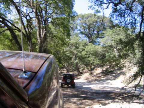 1996 Ford Bronco - Two SUVs travel down a dusty dirt road surrounded by trees.