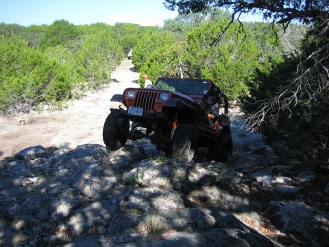 1996 Ford Bronco - A Jeep Wrangler navigates a rough, rocky trail surrounded by dense green foliage.