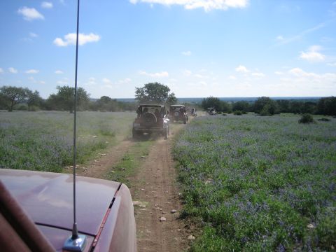 1996 Ford Bronco - A convoy of SUVs travels down a dusty trail surrounded by a vast field of wildflowers.