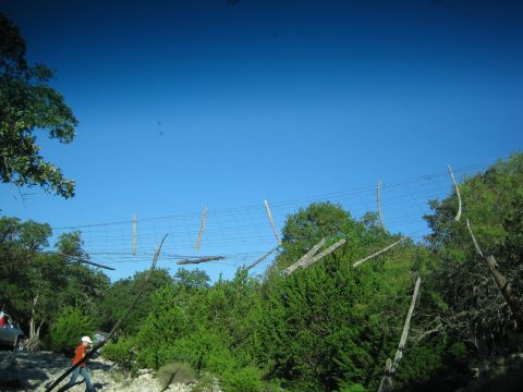 1996 Ford Bronco - A fence runs through a natural landscape with trees and vegetation under a bright blue sky.