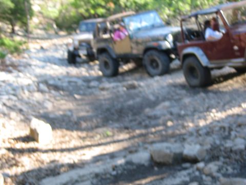1996 Ford Bronco - Multiple Jeeps navigate a challenging, rocky path through a wooded area.