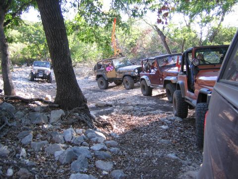 1996 Ford Bronco - Several Jeeps navigate a rough, wooded trail, suggesting an off-road adventure.