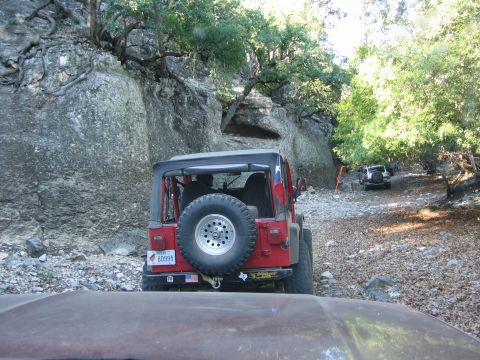 1996 Ford Bronco - Two Jeeps navigate a rough, wooded trail with rocky terrain.