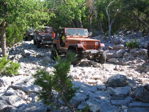 1996 Ford Bronco - Multiple Jeeps navigate a challenging, rocky off-road path under a canopy of trees.