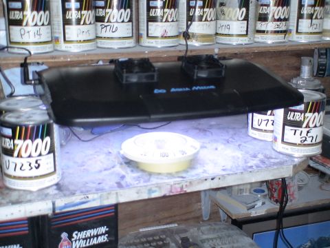 1993 Ford C-350 (Centurion Conversions) - Various cans of paint and aquarium equipment are arranged on a cluttered workbench.