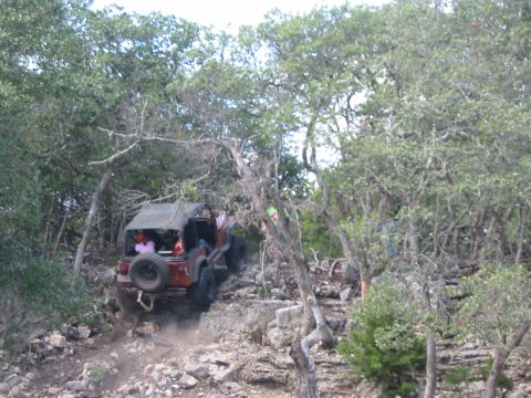 1996 Ford Bronco - A Jeep navigates a challenging off-road path through a wooded area.