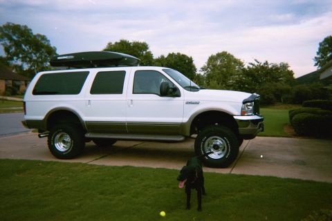 2002 Ford Excursion - lucy the dog. she helps with the repairs
