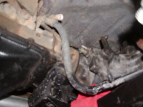 1991 Ford Bronco - Underside view of engine components, showing hoses and electrical connections.