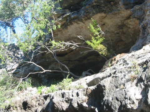 1996 Ford Bronco - A natural cave entrance is visible in a rocky cliff face, surrounded by vegetation and dry branches.