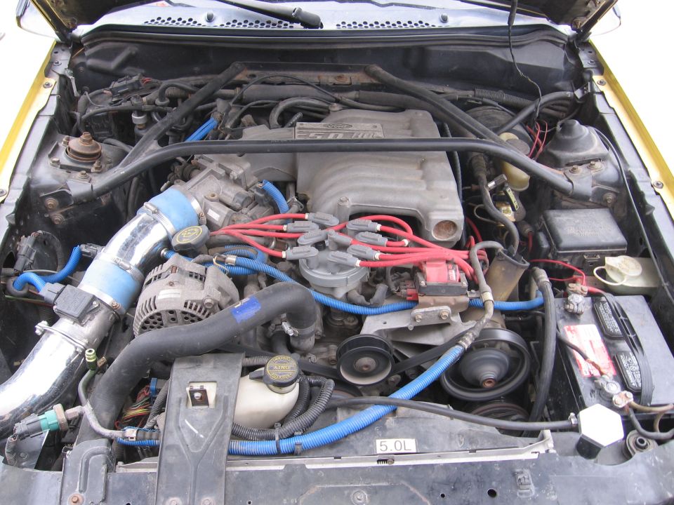 Ford Mustang 5.0 HO engine bay with red plug wires and chrome intake tube