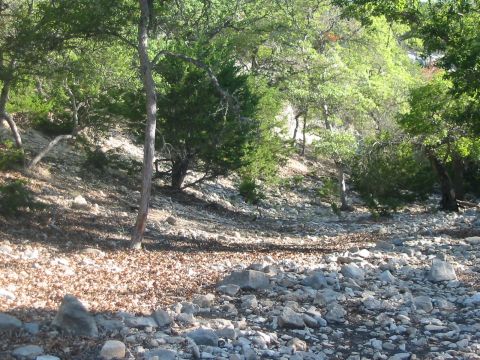 1996 Ford Bronco - A dry, rocky streambed winds through a sun-dappled wooded area with trees and brush.