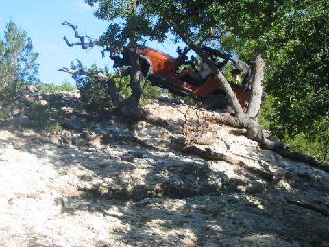 1996 Ford Bronco - Off-road vehicle becomes entangled in trees on a steep, rocky terrain.