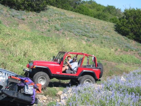 1996 Ford Bronco - Two Jeeps navigate a grassy, hilly terrain dotted with purple wildflowers.