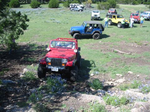 1996 Ford Bronco - A group of Jeeps are gathered in a grassy, hilly area with scattered trees.