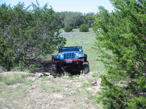 1996 Ford Bronco - A blue Jeep Wrangler navigates an off-road trail with dense foliage and a grassy incline in the background.