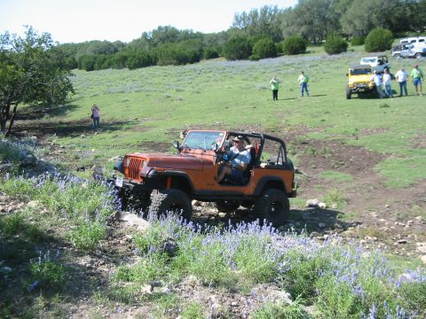 1996 Ford Bronco - Several Jeeps are seen off-roading on a grassy, rocky hillside with scattered purple flowers.