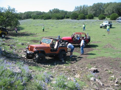 1996 Ford Bronco - Off-roading scene with multiple Jeeps in a natural, outdoor environment.