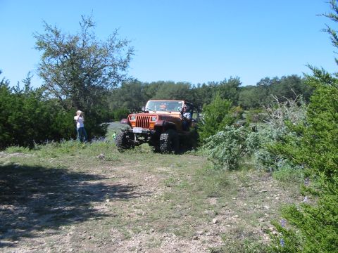 1996 Ford Bronco - An orange Jeep Wrangler is parked on a dirt path surrounded by trees and bushes under a clear blue sky.