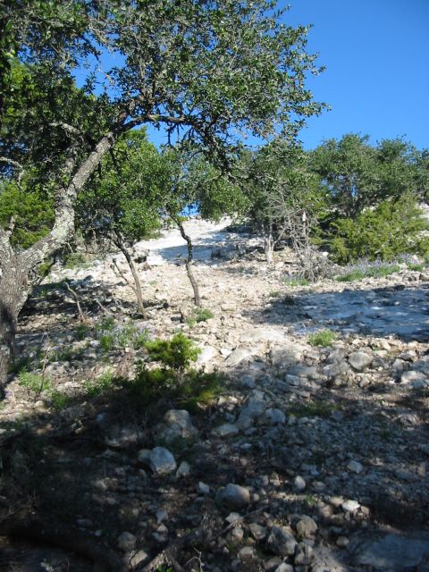 1996 Ford Bronco - A rocky hillside with trees and blue sky overhead.