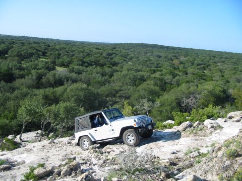 1996 Ford Bronco - A white Jeep Wrangler navigates a challenging rocky path, with a vast expanse of green trees under a clear blue sky.