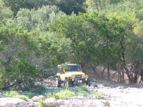1996 Ford Bronco - A yellow Jeep Wrangler is parked on a rough, rocky terrain surrounded by trees and brush.