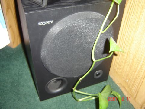1993 Ford Bronco - A black Sony subwoofer is partially obscured by a green vine.