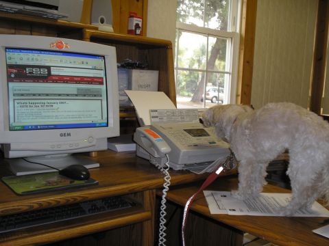 1966 Ford Bronco - A fluffy dog is using a fax machine on a wooden desk next to a computer.