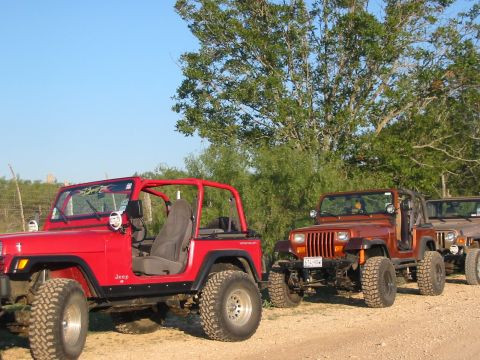1996 Ford Bronco - A line of Jeep Wranglers are parked on a dirt road under a clear blue sky.