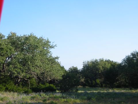 1996 Ford Bronco - A landscape scene with trees and a field, under a bright blue sky.