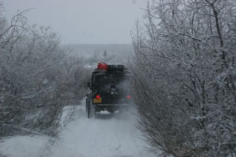2003 Jeep TJ - A Jeep TJ navigates a snow-covered trail surrounded by snow-laden trees.