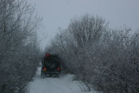 2003 Jeep TJ - A black Jeep navigates a snow-covered path surrounded by frosted trees, suggesting a winter off-road adventure.