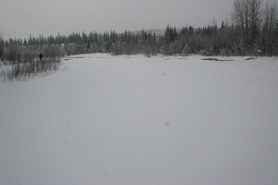 Snowy landscape with trees and a distant person