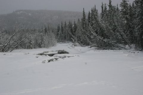 2003 Jeep TJ - A winter scene with snow-covered trees and a frozen body of water.